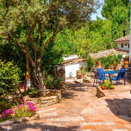 Cinco Lunas VEGETARIAN Guesthouse-2
